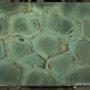 Wasabi Green Natural Quartzite