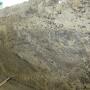 Absolute Cream Granite