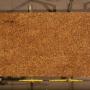 Giallo Fiorito Granite