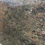 Pegasus Granite
