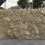 Star Beach Granite