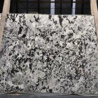 Splendor White Granite