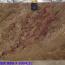 3cm, Lot JT1, 130x71